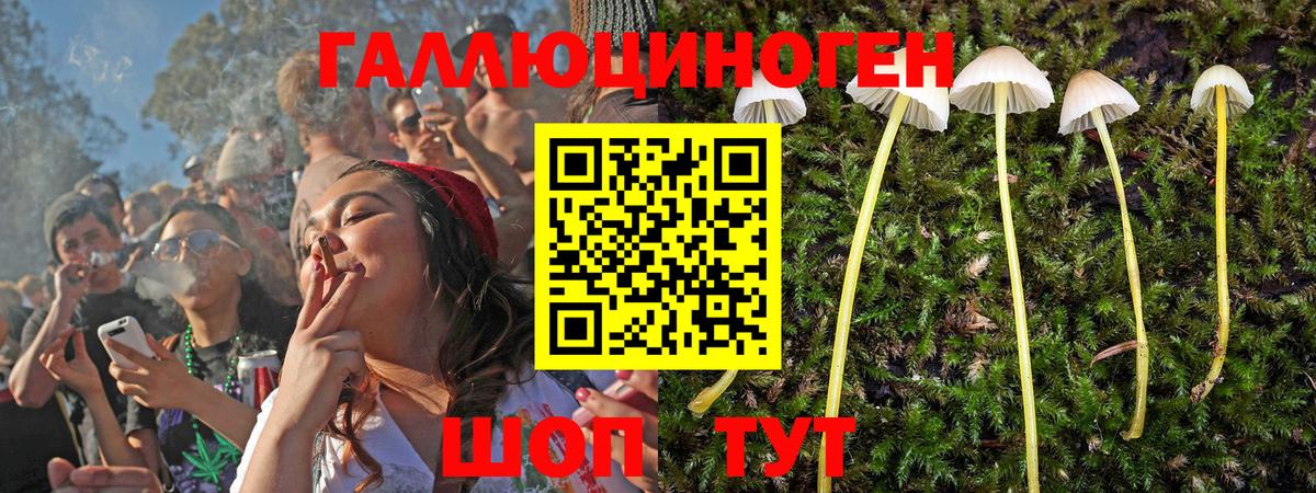 Галлюциногенные грибы мухоморы Чебоксары