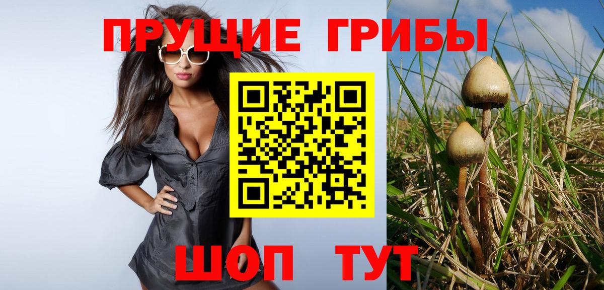 Псилоцибиновые грибы ЛСД  Вход с VPN  Чебоксары 