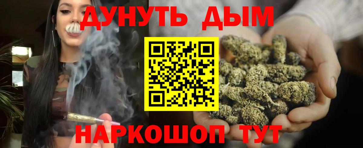 Конопля сатива Чебоксары
